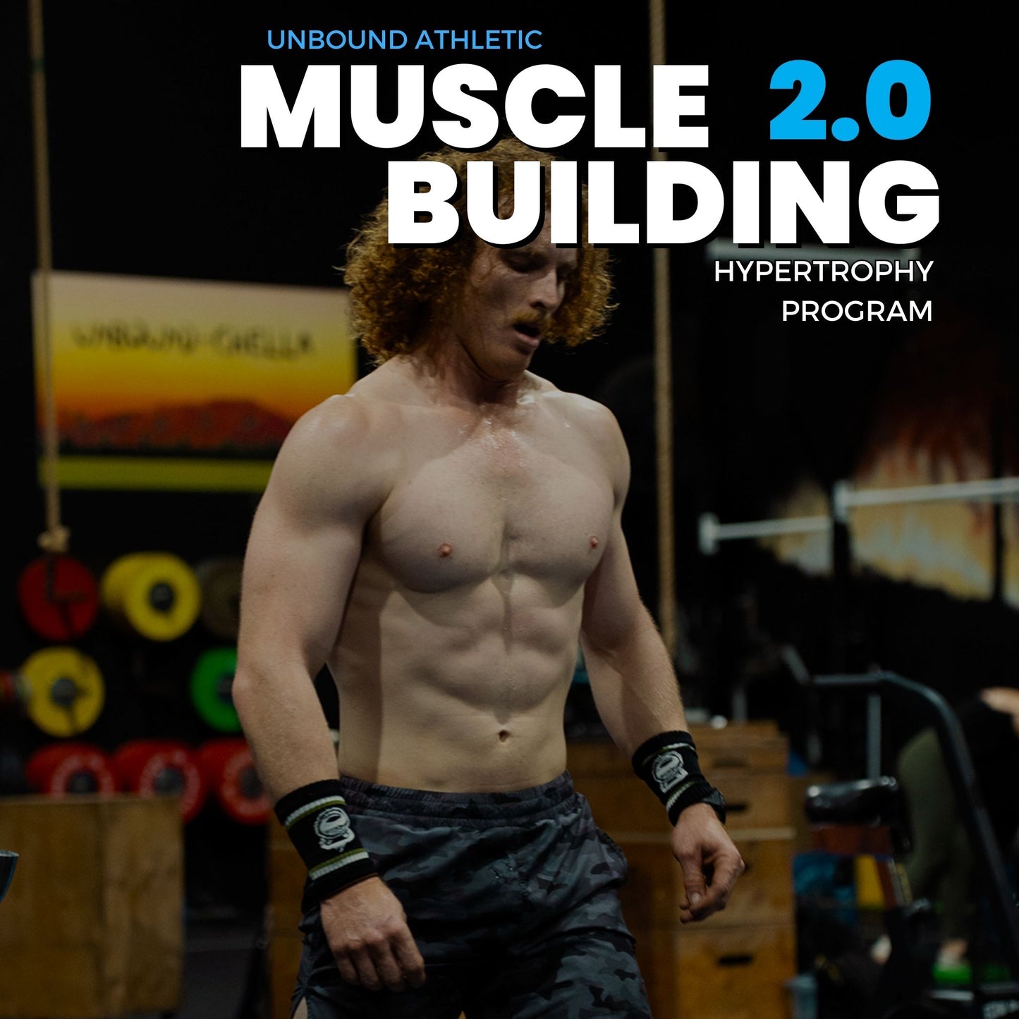 Muscle Building Program
