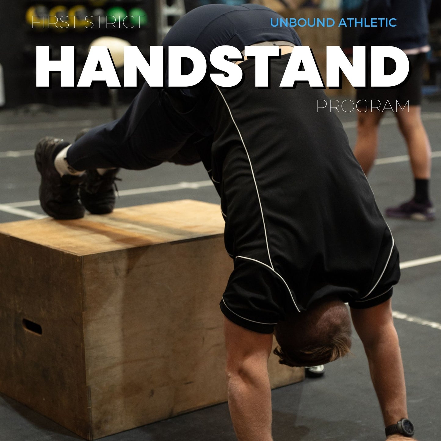 Handstand Push Up Program