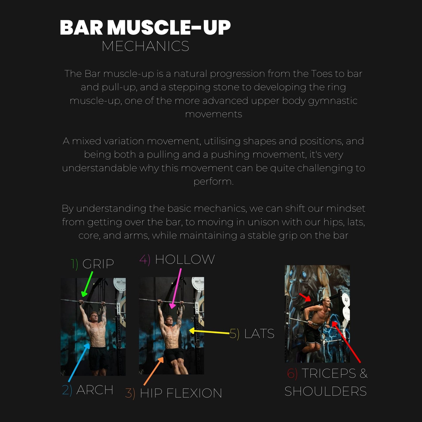 Bar Muscle Up Program